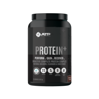 PROTEIN+